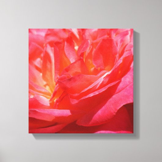 Rosa Leinwand Kunst druckt Rose Blume (Vorderseite)