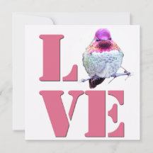 Rosa LIEBE Anna's Hummingbird Foto Flat Card