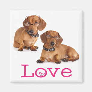 Rosa Liebe Dachshund Welpe Hund Kühlschrankmagnet