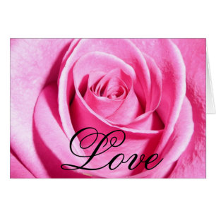 Rosa Liebe-Rose