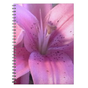 Rosa Liege-Notebook Notizblock