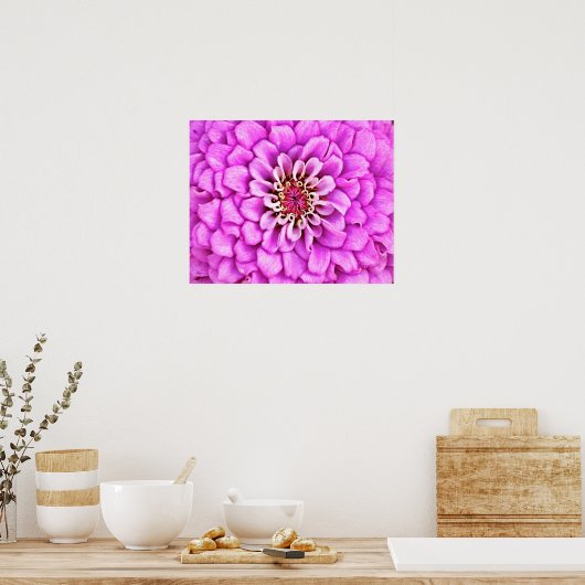 Rosa Lila Blume Petal Burst Fotokunst Poster (Küche)