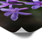 Rosa Lila Blume Poster (Ecke)