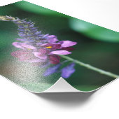 Rosa Lila Blume über die Blüte von Kudzu Fotodruck (Ecke)