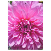 Rosa Lila Dahlia-Blume Klemmbrett (Rückseite)