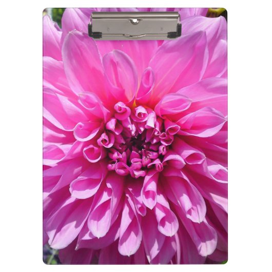 Rosa Lila Dahlia-Blume Klemmbrett (Vorderseite)