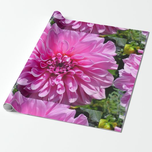Rosa Lila Dhalia-Blume Geschenkpapier (Ungerollt)