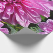 Rosa Lila Dhalia-Blume Geschenkpapier (Ecke)