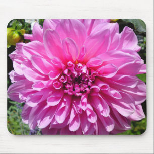 Rosa Lila Dhalia Blume Mousepad