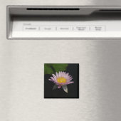 Rosa Lila Lotus-Wasserlilie-Magnet Magnet (In Situ (Geschirrspüler))