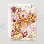 Rosa Lila Orchideen Blume Blüten Vintag Postkarte (Vorne/Hinten)