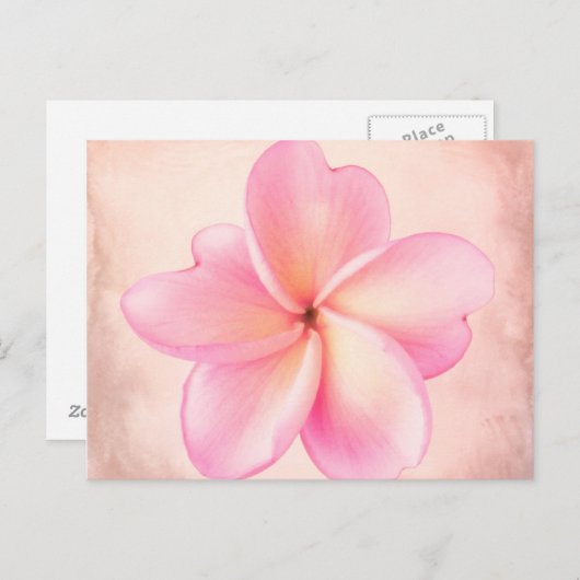 Rosa Lila Plumeria Blume Rosa Hintergrund Postkarte (Vorne/Hinten)