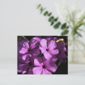 Rosa/Lila Postkarte (Stehend Vorderseite)