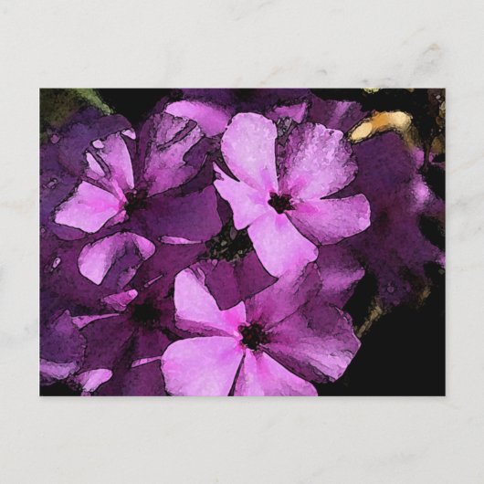 Rosa/Lila Postkarte (Vorderseite)