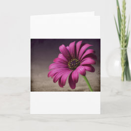 Rosa lila Rebe-Blumen-Blüten-Liebe-Friedenskunst Karte