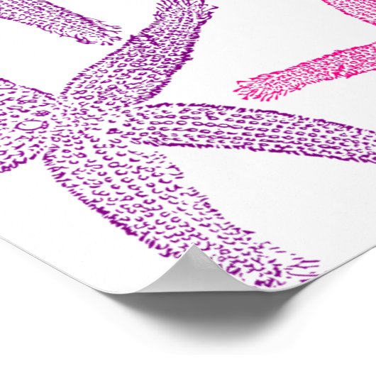 Rosa Lila Starfish Thunder_Cove Poster (Ecke)