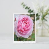Rosa Lilac Rose Postkarte (Stehend Vorderseite)