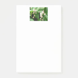 "Rosa Lilie des Tals! Post-it Klebezettel