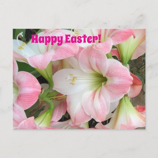 Rosa Lilie „Frohe Ostern“ Postkarte (Vorderseite)