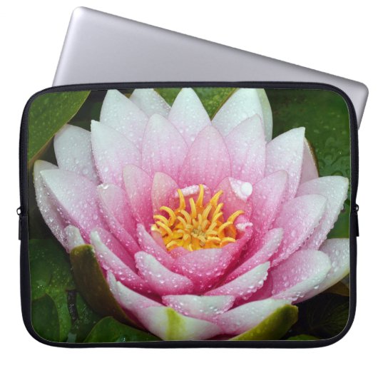 Rosa Lilie Laptopschutzhülle (Vorderseite)