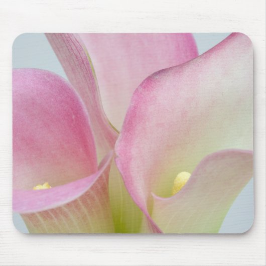 Rosa Lilie Mousepad (Vorne)