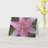 Rosa Lilie nach einer Dusche Karte (Gelbe Blume)