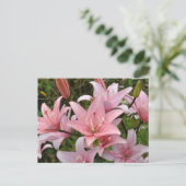Rosa Lilie Schönheit Postkarte (Stehend Vorderseite)
