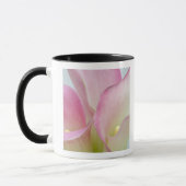 Rosa Lilie Tasse (Links)