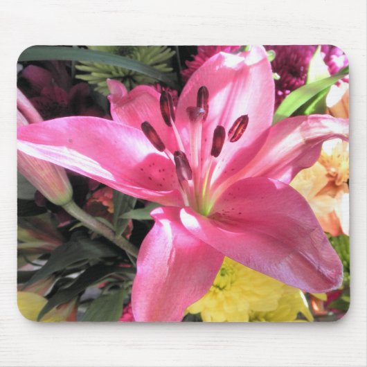 Rosa Lilien-Blumen-Lilien-Blumen-Foto Mousepad (Vorne)