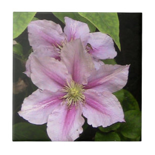 Rosa Lilien-dekorative Fliese