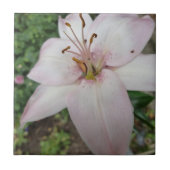 Rosa Lilien-Fliese Fliese (Vorderseite)