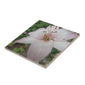 Rosa Lilien-Fliese Fliese (Seite)