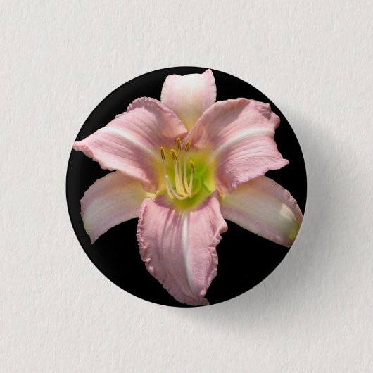 Rosa Lilien-Knopf Button (Vorderseite)