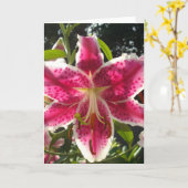 Rosa Lilien Rosa tropische Blume Rosa Blüten Karte (Gelbe Blume)