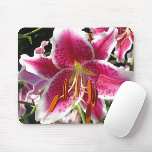 Rosa Lilien Rosa tropische Blume Rosa Blüten Mousepad (Mit Mouse)