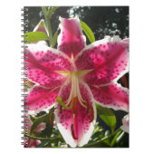 Rosa Lilien Rosa tropische Blume Rosa Blüten Notizblock (Vorderseite)