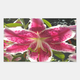 Rosa Lilien Rosa tropische Blume Rosa Blüten Rechteckiger Aufkleber