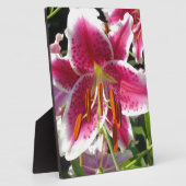 Rosa Lilienrosa Blume tropische Blume Fotoplatte (Seite)