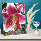 Rosa Lilienrosa Blume tropische Blume Fotoplatte (Seite)