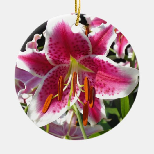 Rosa Lilienrosa Blume tropische Blume Keramik Ornament (Vorne)