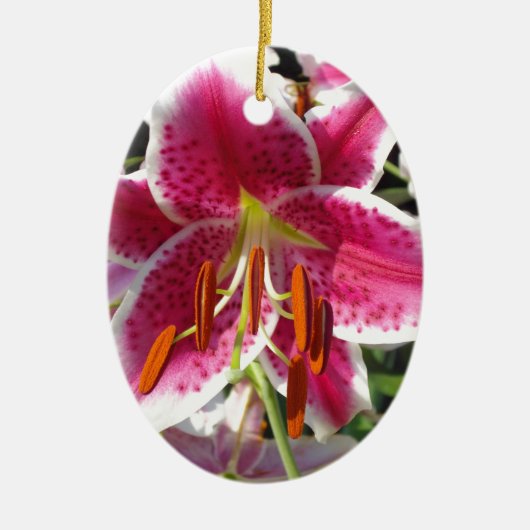 Rosa Lilienrosa Blume tropische Blume Keramik Ornament (Vorne)