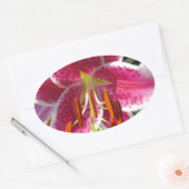 Rosa Lilienrosa Blume tropische Blume Ovaler Aufkleber (Umschlag)