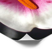 Rosa Lilienrosa Blume tropische Blume Poster (Ecke)