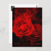 Rosa Lilli Marleen: Postkarte (Vorne/Hinten)