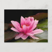 Rosa Lippe Postkarte (Vorderseite)