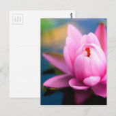 Rosa Lippe Postkarte (Vorne/Hinten)