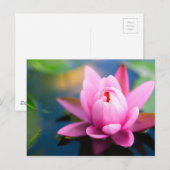 Rosa Lippe Postkarte (Vorne/Hinten)