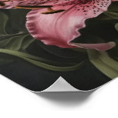 Rosa Lippen Blume Art Print Poster (Ecke)