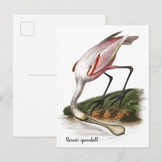 Rosa Löffler Gemälde  Klein Postkarte (Vorne/Hinten)