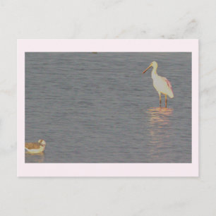 Rosa Löffler Postkarte